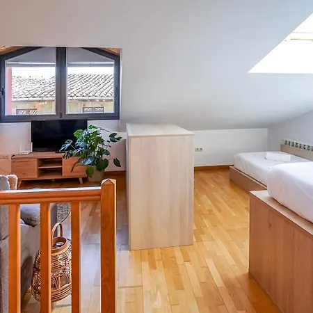 Duplex El Pont Apartament Camprodon
